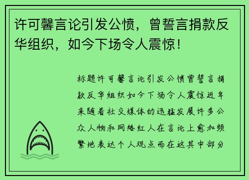 许可馨言论引发公愤，曾誓言捐款反华组织，如今下场令人震惊！