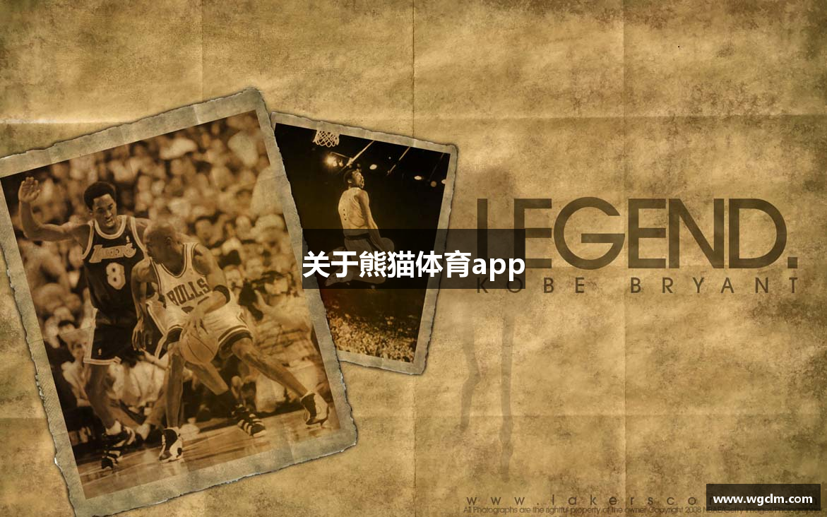 关于熊猫体育app