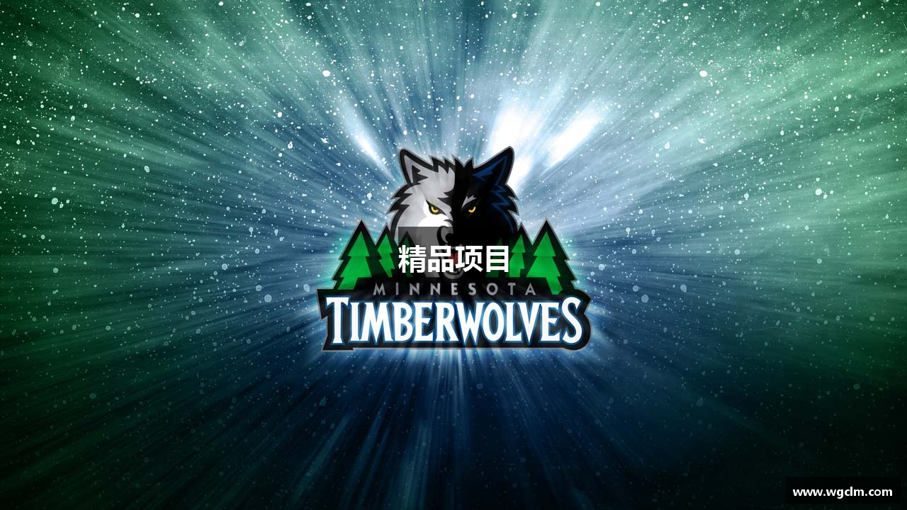精品项目